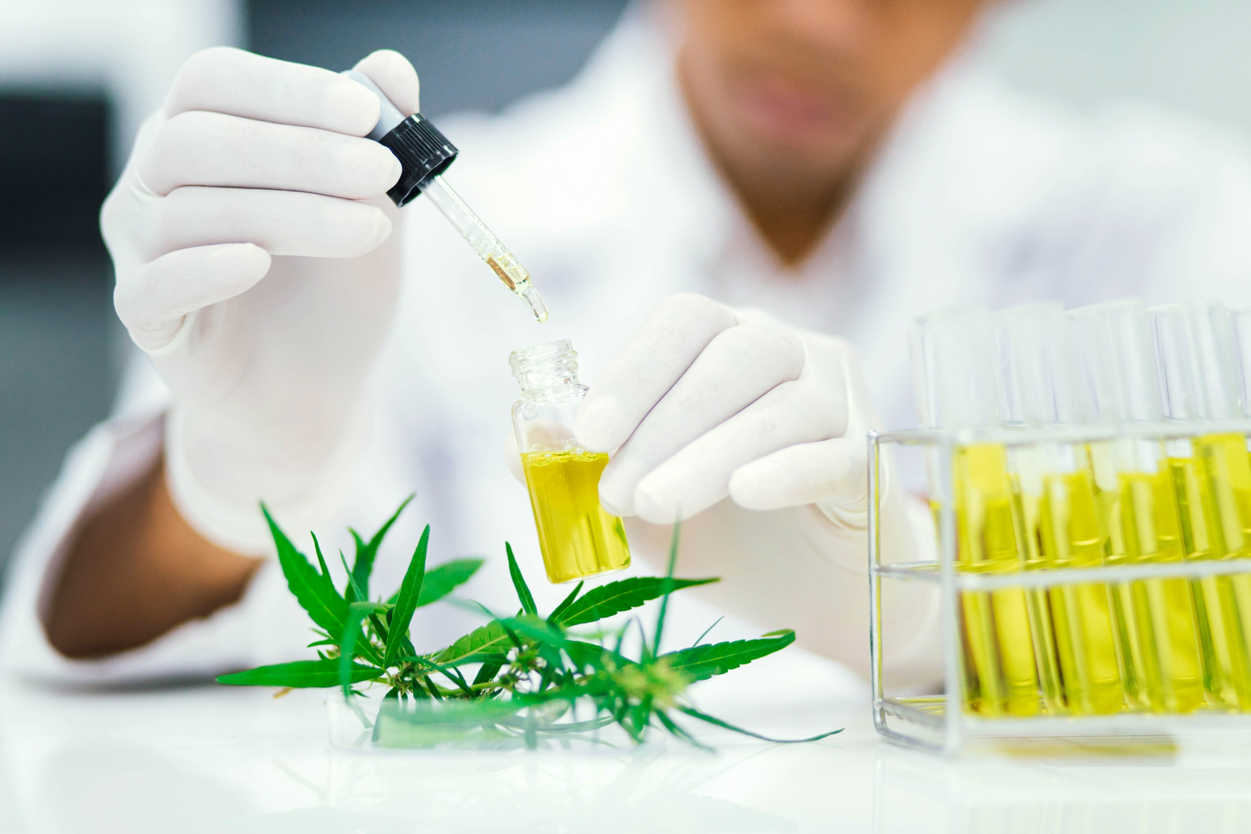 cbd olje – norge’s beste med 0,0% thc ~ cbdrevo.no
